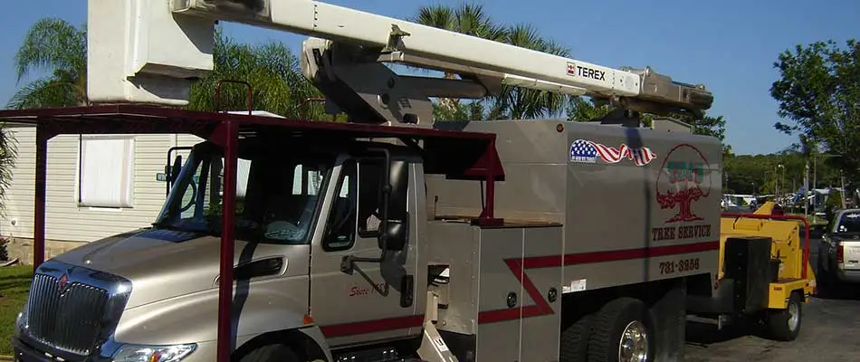 Tim's Tree Service bucket truck in Cape Coral, FL.
