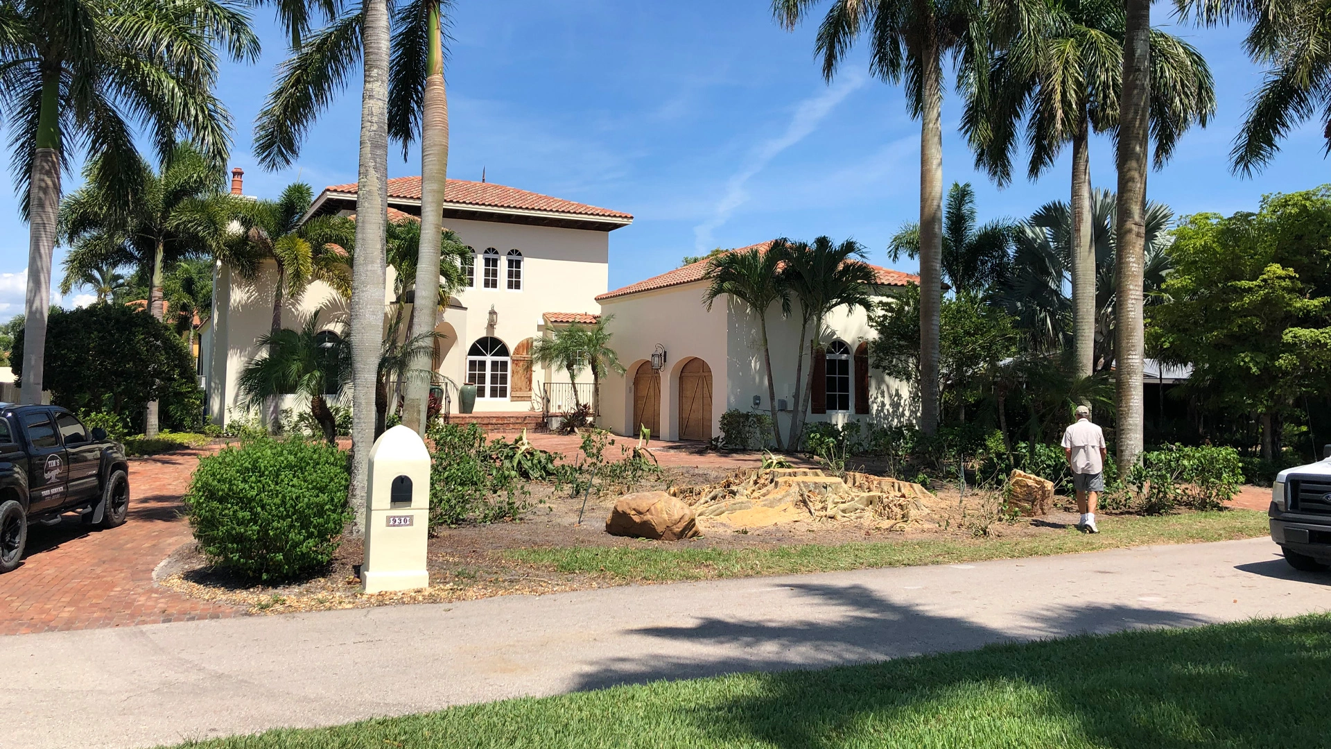 Trees being trimmed at a home in Cape Coral, FL.