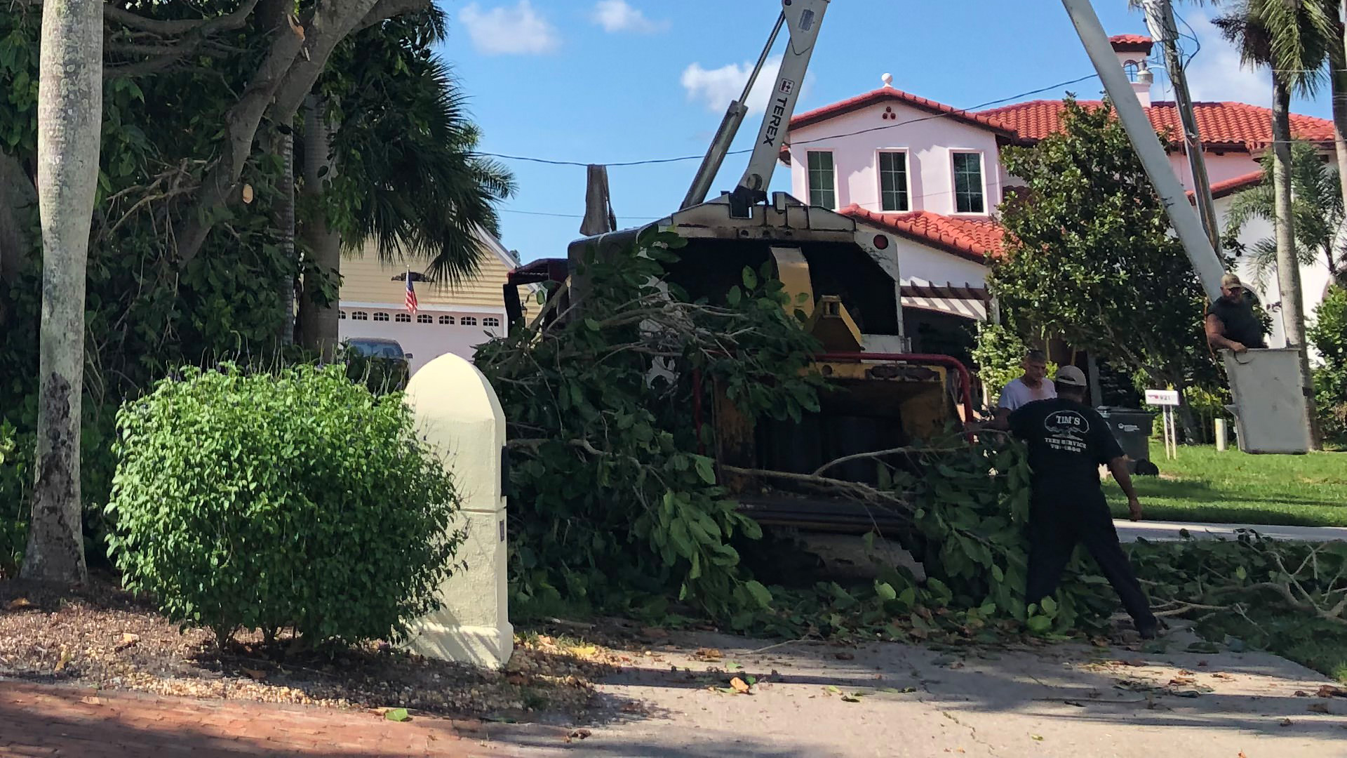 A large tree being cut up and disposed of after a strong storm in Cape Coral, FL.