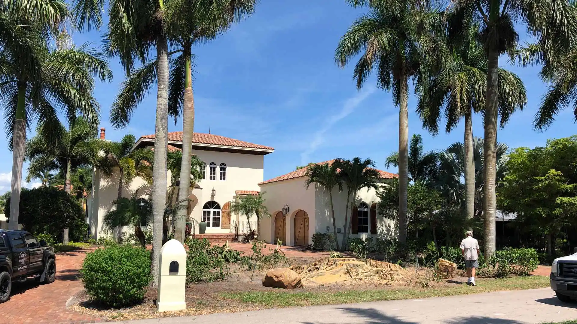 Home with tree removed done by professionals in Iona, FL.