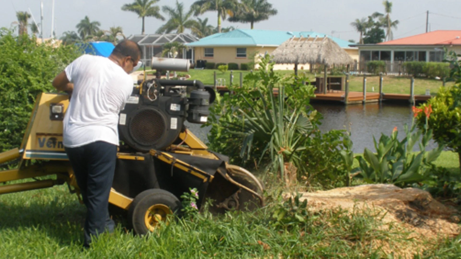 DIY Stump Grinding Gone Wrong: 4 Mistakes You Could Make