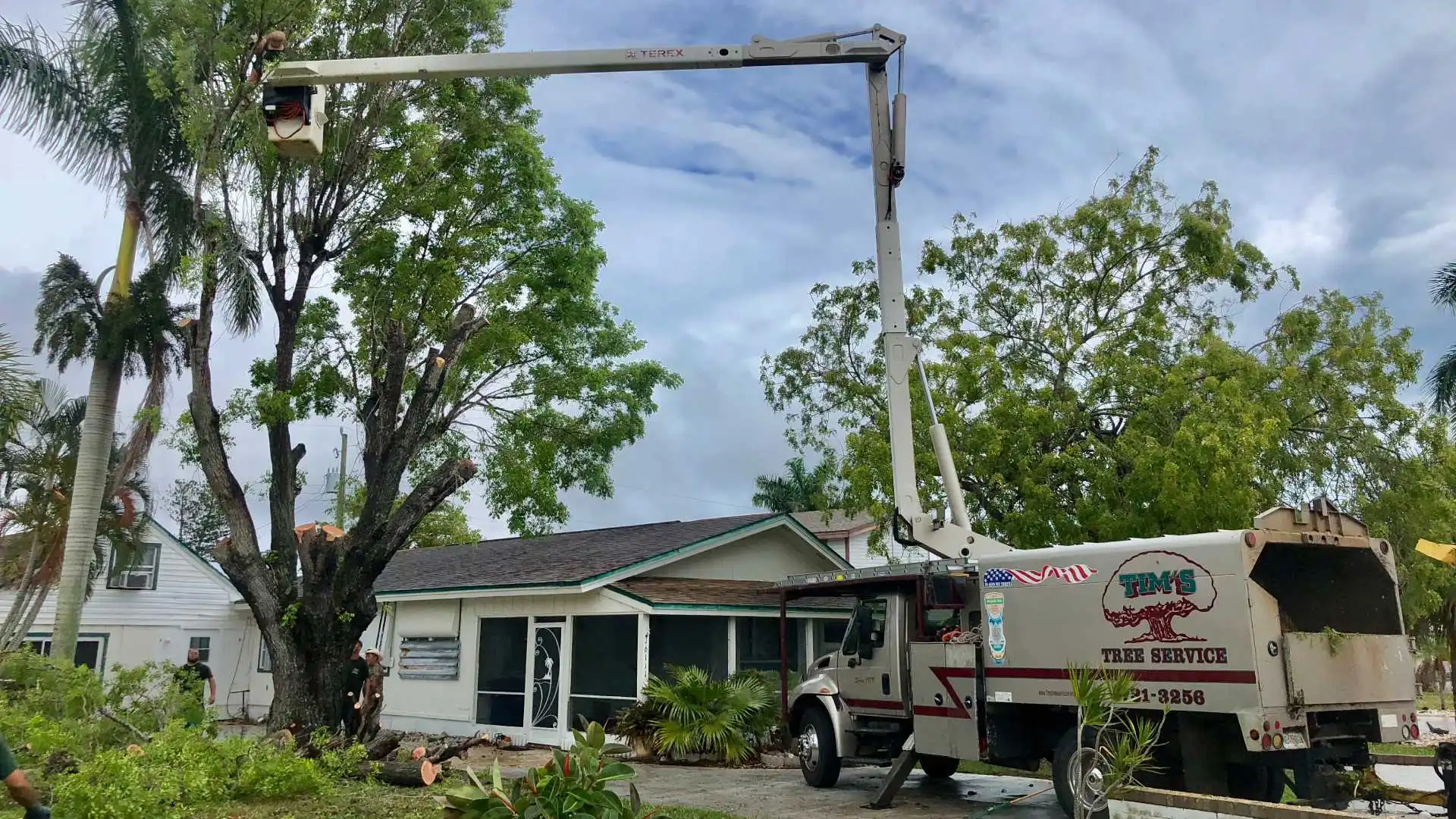 Professionals trimming a tree in Villas, FL.