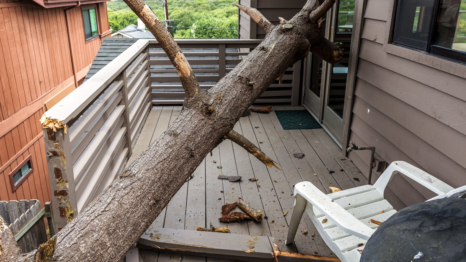 Immediate Steps to Take if a Tree Falls on Your House