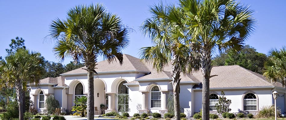 Palm trees growing at a residential property in Fort Myers, FL.