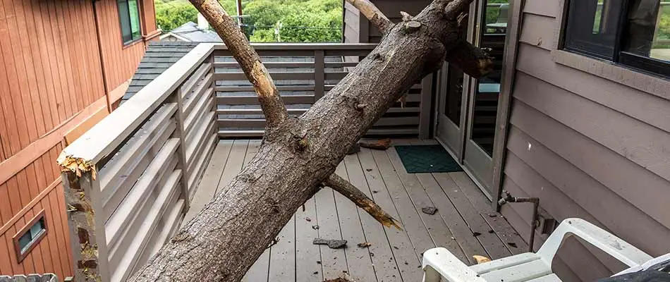 Tree damage to a home and patio deck near Cape Coral, FL.