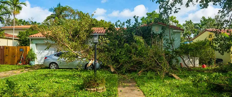 Trees fallen on a home and the homeowner's car in North Fort Myers, Florida.