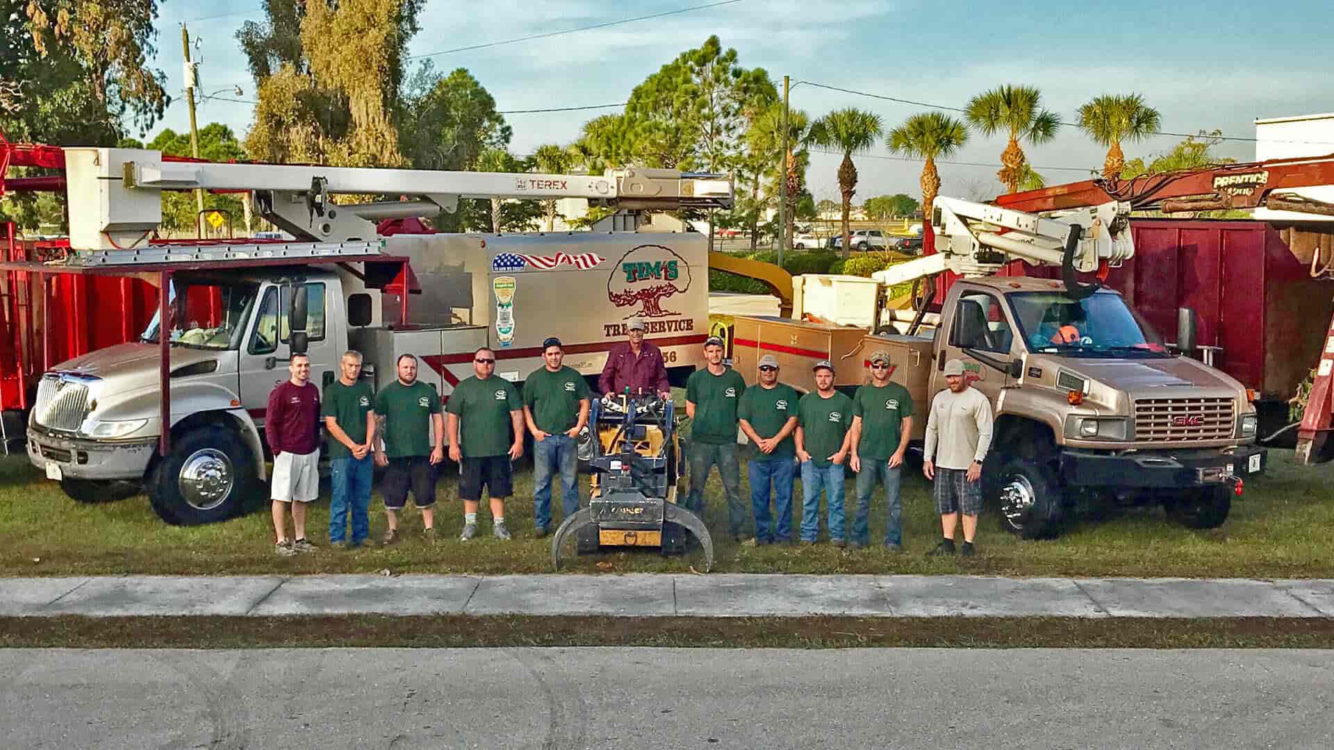 Tim's Tree Service trimming and removing large tree in Cape Coral, FL.