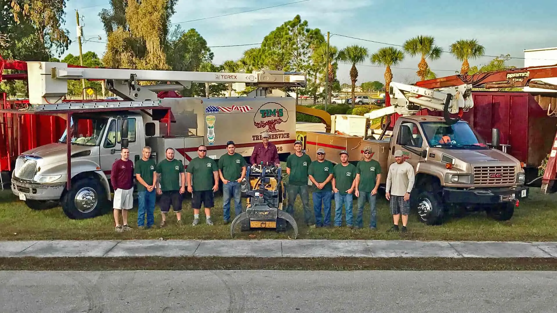 Tim's Tree Service trimming and removing large tree in Cape Coral, FL.