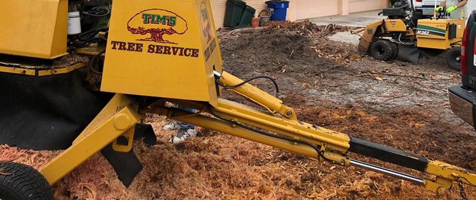 Using our stump grinder to remove a large tree stump at a business in Fort Myers.