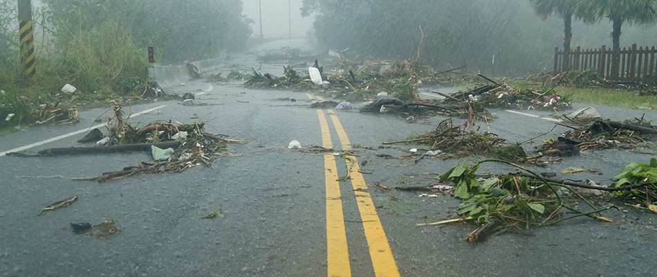 Hurricane debris all over road in Fort Myers, FL.
