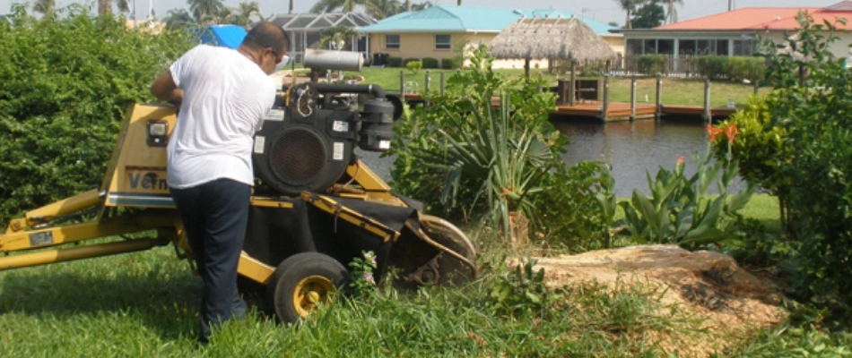 Stump grinding in Villas, FL.