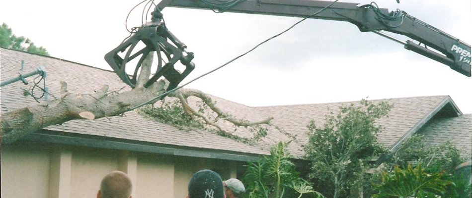 Our team removing a fallen tree from on top of a home in Pine Manor, FL.
