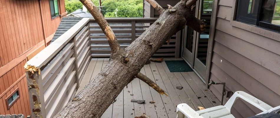 Tree fallen over onto home in North Fort Myers, FL.