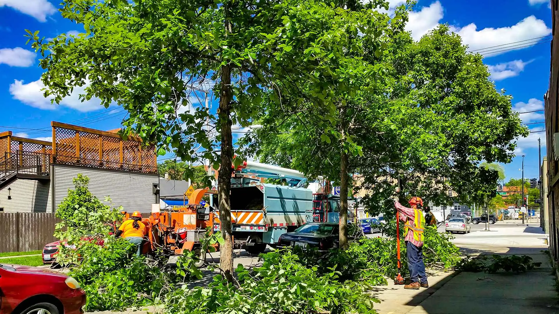 Trimming trees along the road in Fort Myers, FL.