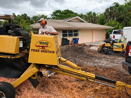 Our certified and insured tree company servicing a property in Cape Coral, FL.