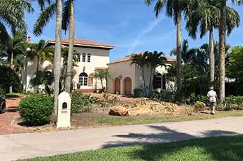 Trees being removed from a residential property in Fort Myers, FL.