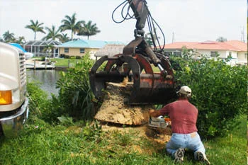 Removing large tree on canal in Cape Coral, FL.