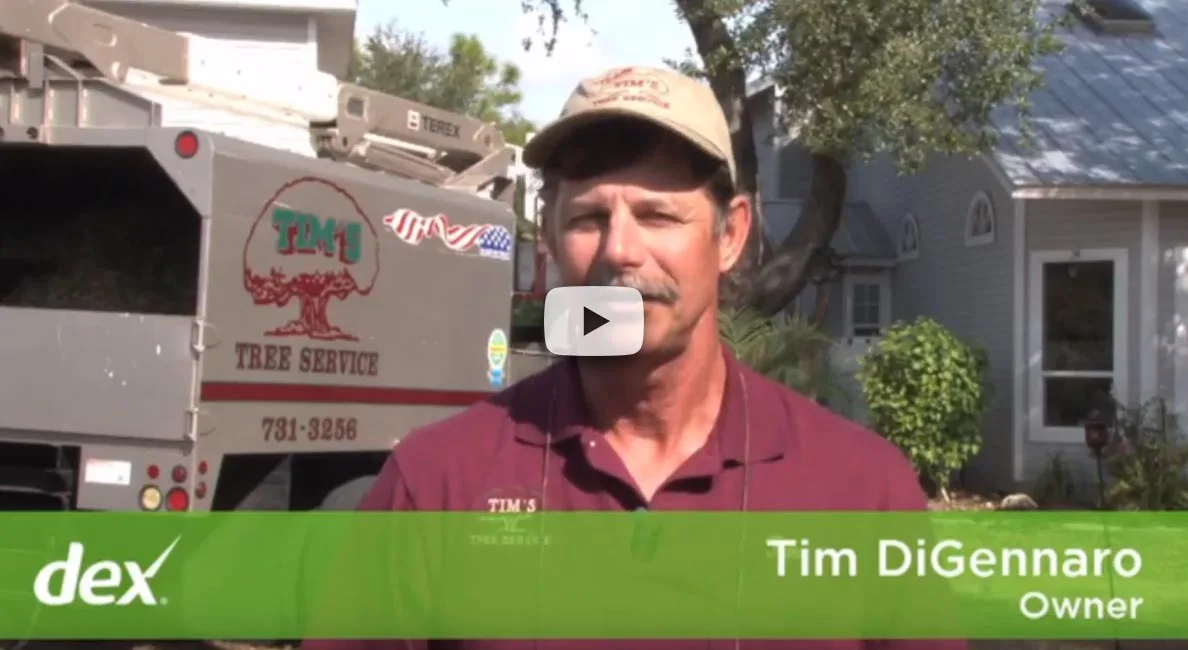 Watch our video about our tree services.